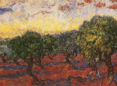 Vincent Van Gogh Olive Grove France oil painting art